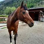 Le Panoramique La Salle, Derby Village Apartamento